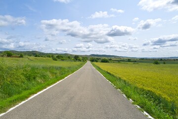 자연 목초 경작 녹색 들판 하늘 구름 아웃도어