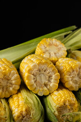 Close-up pile of fresh ripe corn cobs.