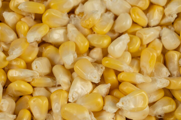 Close-Up Of Fresh Corn Kernels Texture From Above.