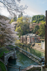 京都蹴上ポンプ室と桜