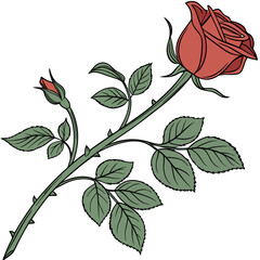 A single red rose in full bloom with a small bud and green leaves on a thorny stem