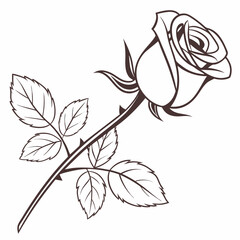 Elegant line art illustration of a single dark brown rose with leaves and thorns on a white background
