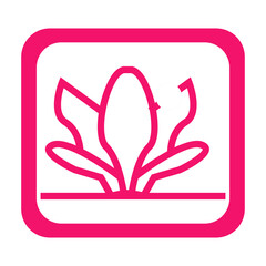 vector illustration of a magnolia flower