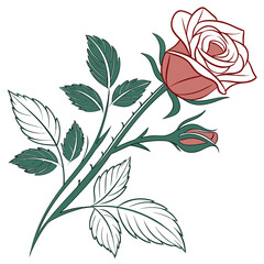 Stylized illustration of a blooming pink rose with a bud and green leaves on a white background