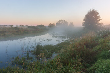 misty morning on the river