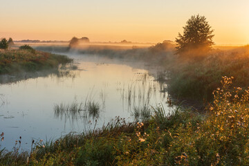 morning mist over the river