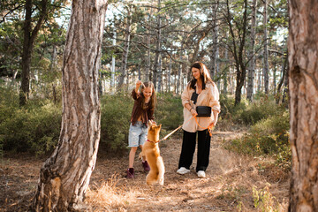 Obraz premium Happy woman and child girl take for a walk shiba inu dog in woods outdoors. Friendship. Autumn season.