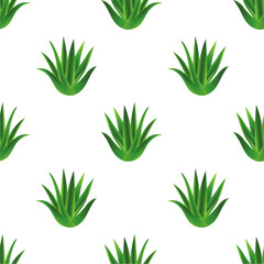 Seamless Aloe Vera Plant Pattern Vector Illustration on White Background