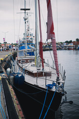 boats in marina