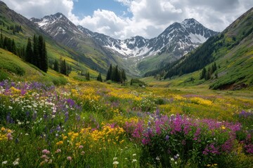 sweeping alpine meadow filled with wildflowers, snowy mountain peaks in background, bright natural daylight.
