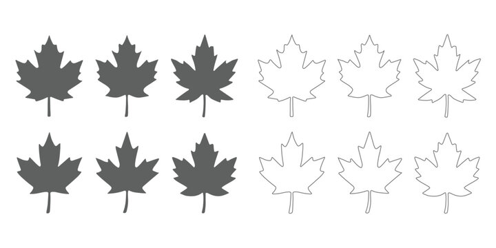 maple leaves icon collection isolated on white background. Canadian maple leaf silhouette vector,vector illustration