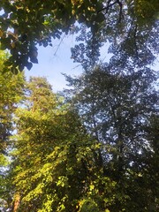 Beautiful nature photos