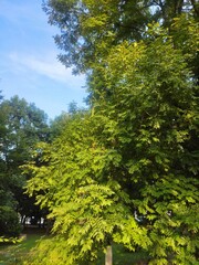 Beautiful nature photos