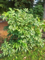 Beautiful nature photos