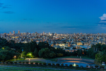 Obraz premium 北海道 旭山からの札幌の夜景