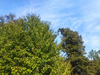 Beautiful nature photos