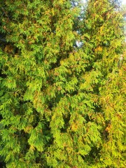 Beautiful nature photos