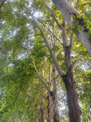 Beautiful nature photos