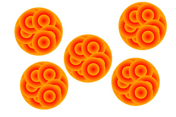 Five abstract orange discs with circular patterns and concentric rings are arranged against a white background