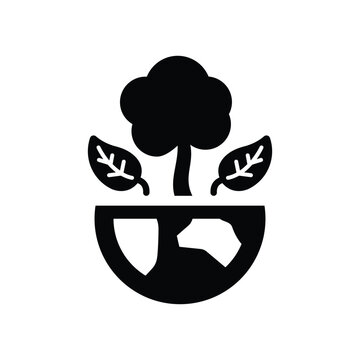 Ecological icon