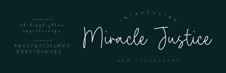 Signature Font Uppercase Lowercase And Number. Script Font Calligraphy Logotype  elegant Font Type Font lettering handwritten. vector illustration  
