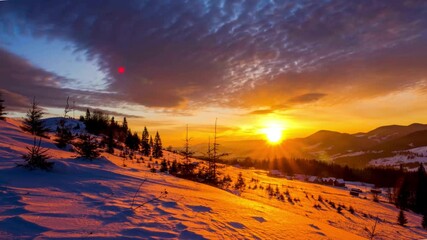 Time-Lapse of a Tranquil Snowfall in a Forest, Daytime to Dusk - Powered by Adobe