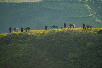 Dawn on the high mountain peaks of Ha Lang area, with pack horses and people going to work. Photo taken in Ha Lang, Cao Bang on August 30, 2025