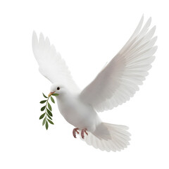 Peace Dove set against a white backdrop. 3D rendering