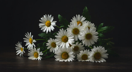 Obraz premium Still Life of White Daisy Flowers in a Glass Vase