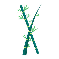 Vibrant bamboo stalks with lush green leaves against a clean white background, ideal for nature themes
