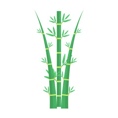 Vibrant green bamboo stalks with lush leaves against a clean white background, ideal for nature themes