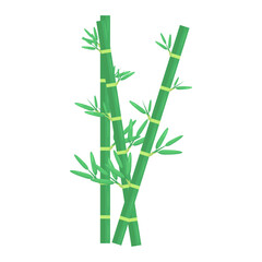 Fototapeta premium Lush green bamboo stalks with vibrant leaves against a clean white background, symbolizing nature (1)