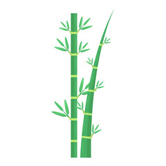 Green bamboo stalks with vibrant leaves against a white background, ideal for nature-themed designs