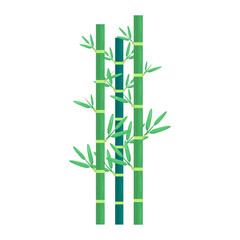 Lush green bamboo stalks with vibrant leaves against a white background, symbolizing nature