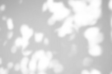 Abstract natural tree leaves shadow on white wall background