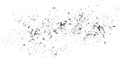 Abstract Grunge Debris Texture - Scattered Black and Silver Fragments, Shattered Particle Splatter
