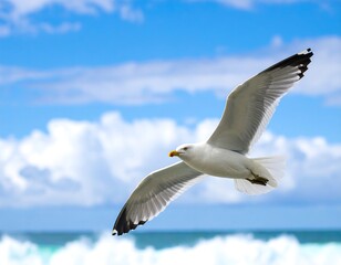 Fototapeta premium A seagull soars against a vibrant sky