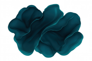 Teal curved abstract form flowing smoothly across transparent surface, embodying fluid movement and elegant design