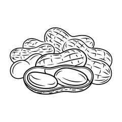 Hand drawn illustration of a pile of peanuts in shells