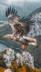 Fototapeta premium Majestic eagle soaring and diving through the winds of majestic mountain landscapes