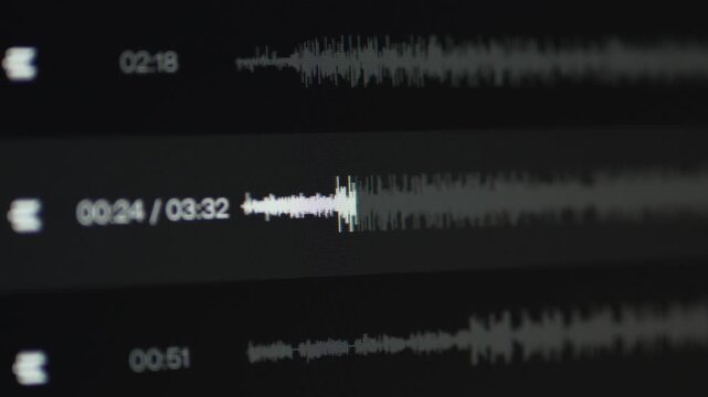 Screen of a computer program for editing sound in a sound wave studio