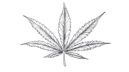 Cannabis leaf illustration