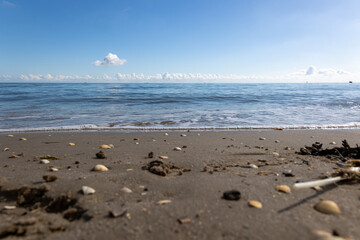 North Sea beach: view of the sea and the horizon