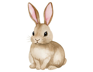 Rabbit Side View Silhouette Vector