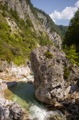 Alpine River's Rocky Embrace