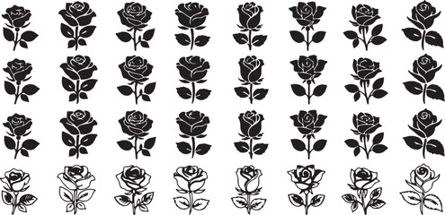 miscellaneous, outline, range, floral, silhouette, graphic, illustration, stems, botanical, love, romantic, vector, with, rose, detailed, collection, leaf, petal, illustrations, elements., arrangement