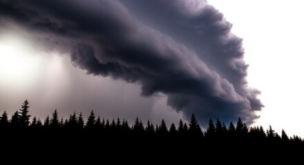 A dramatic, dark storm cloud looms over a silhouetted forest, hinting at an approaching tempest and wild weather