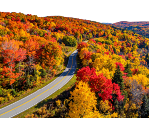  Scenic Autumn Colors on Natchez Trace Parkway PNG