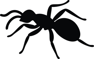Black Ant Silhouette on White Background Insect