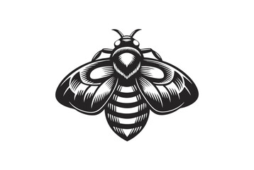Detailed Honeybee on White Background in Style